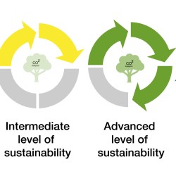 Understanding the impact of your beauty packaging: what is a Life Cycle Assessment?